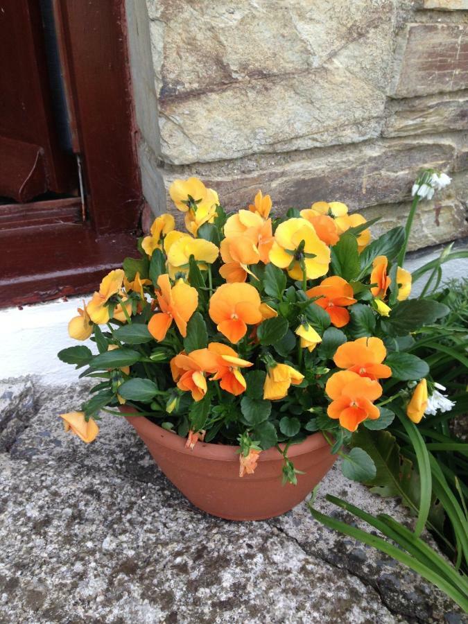 Bed and Breakfast Trecorme Barton Quethiock Exterior foto
